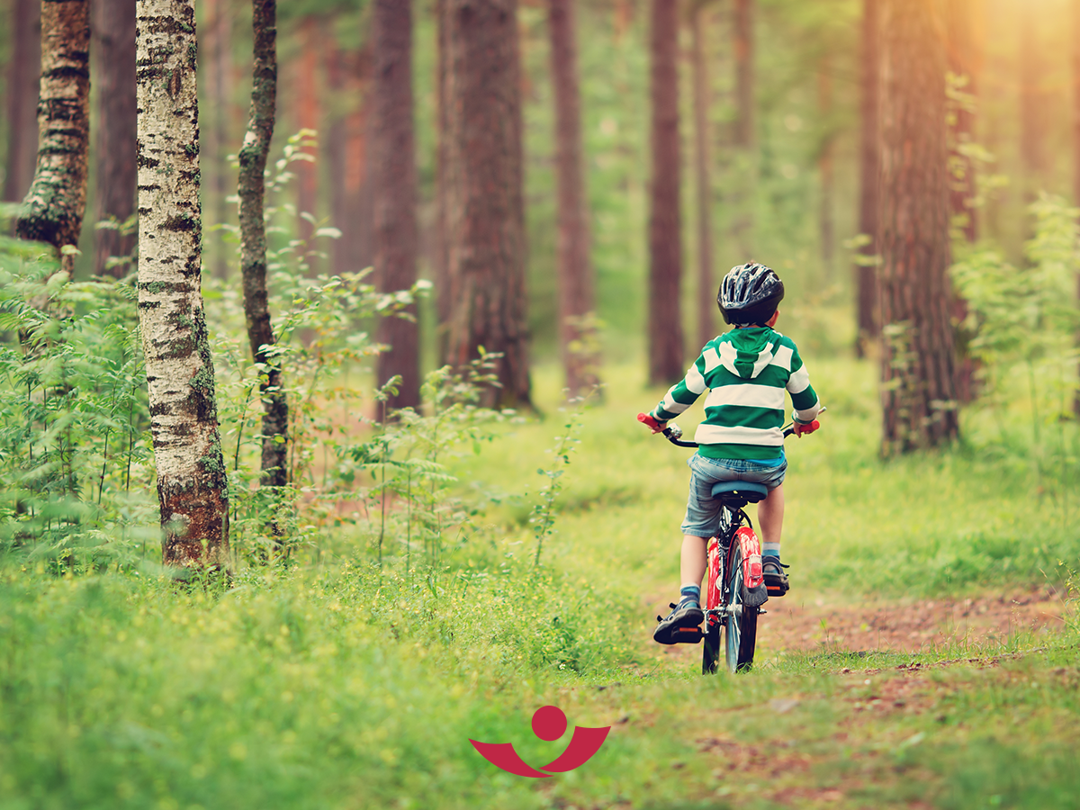 Fahrradfahrer auf Waldweg