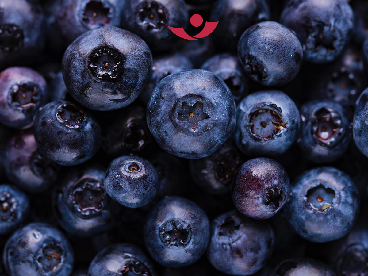 Heidelbeeren