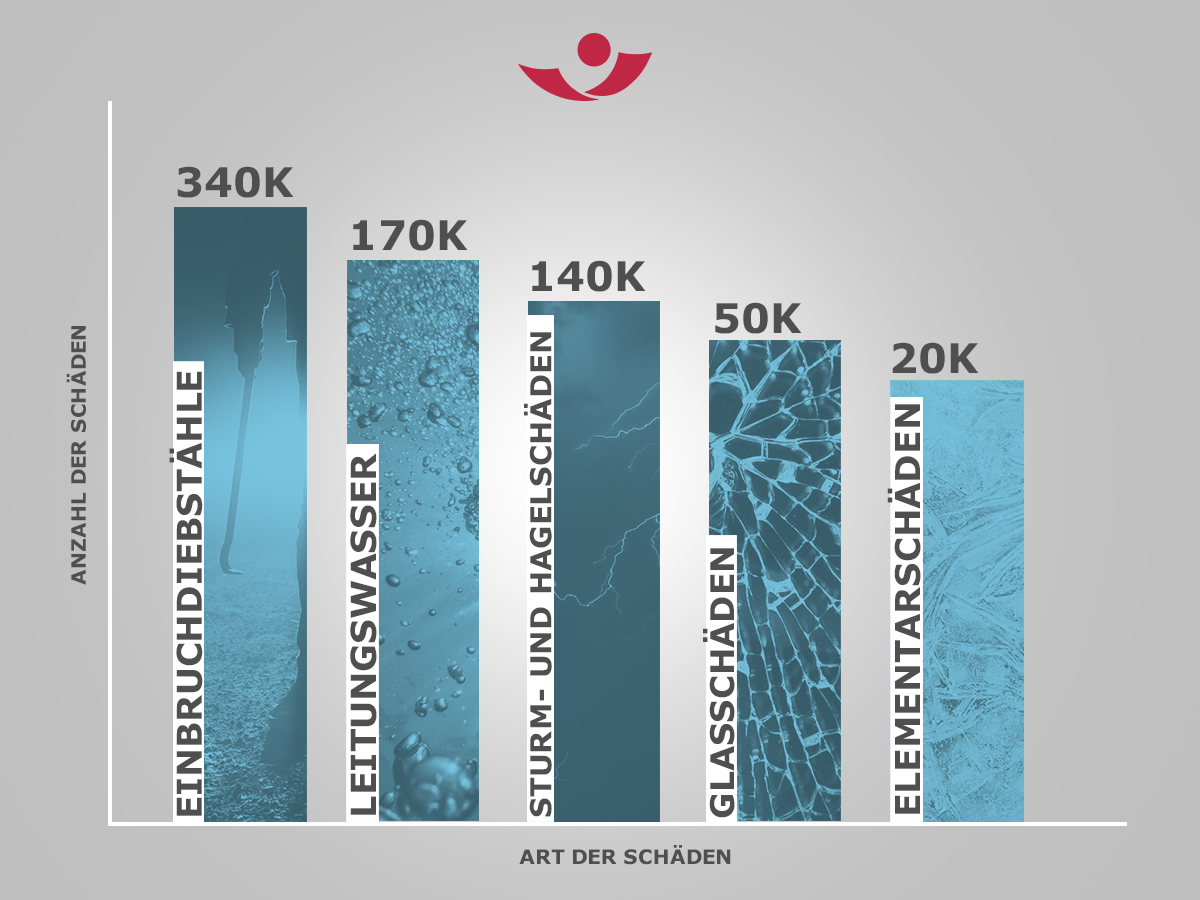 Infografik - Anzahl der Arten von Schädel