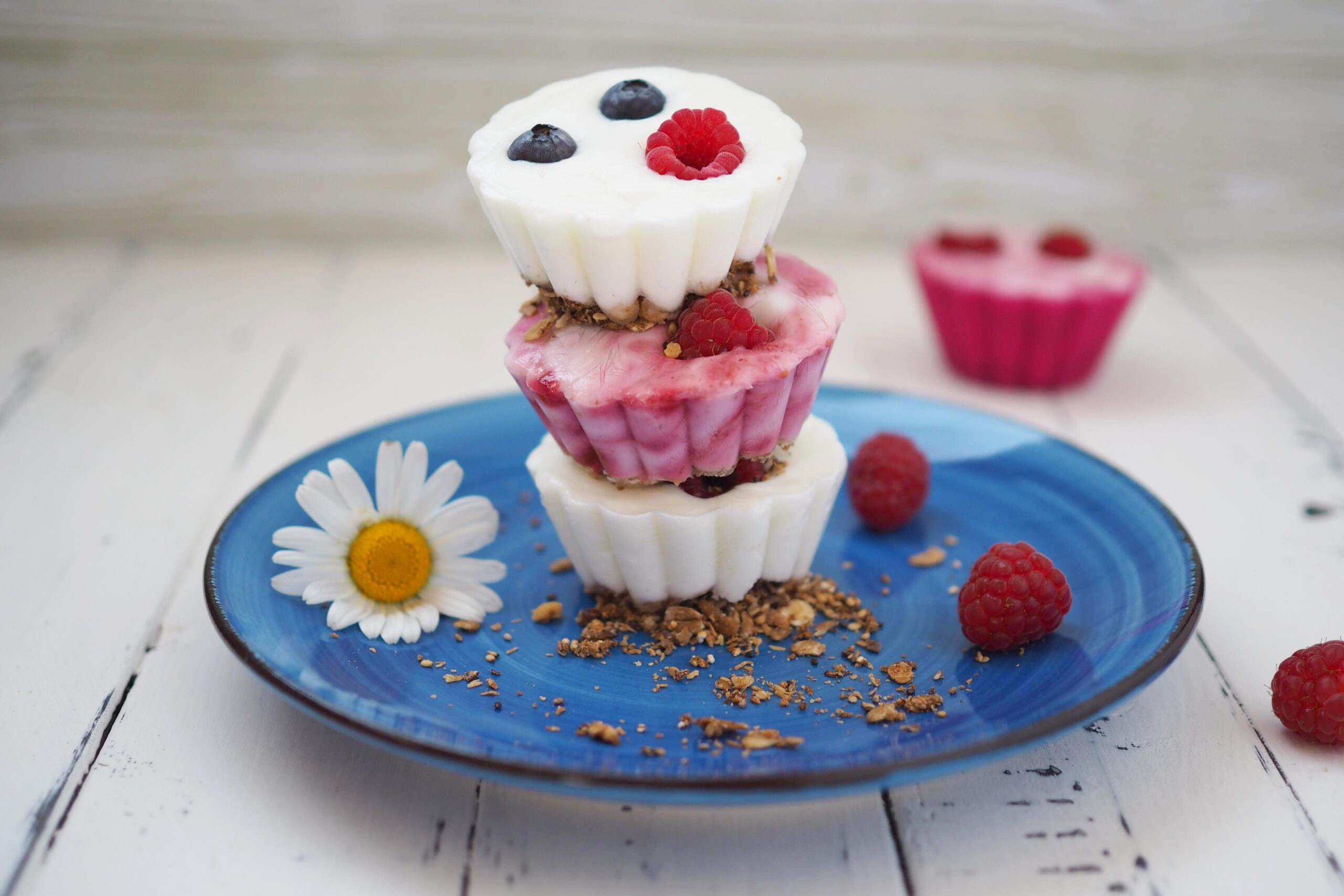 Frozen Yoghurt Cups