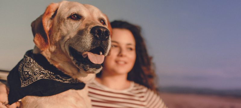 Hund und Hundebesitzerin